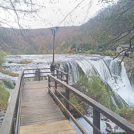 Kamp Suad * Ivisovo Greblje