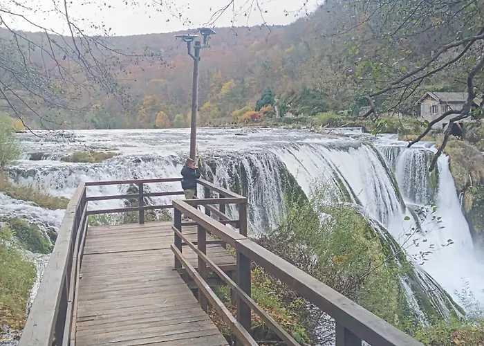 Kamp Suad * Ivisovo Greblje